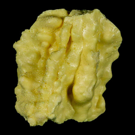 2.3" Rough Bright Yellow Sulfur Crystal Mineral Specimen From Louisiana
