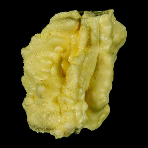 2.3" Rough Bright Yellow Sulfur Crystal Mineral Specimen From Louisiana - Fossil Age Minerals