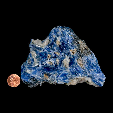 4.5" Rough Natural Sky Blue Kyanite And Quartz Crystal Mineral Specimen Brazil - Fossil Age Minerals
