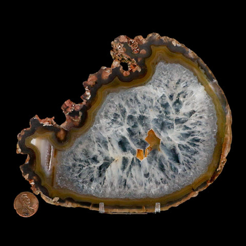 5.9" Polished Cut Agate Geode Crystal Quarts Chalcedony Mineral Specimen Stand - Fossil Age Minerals