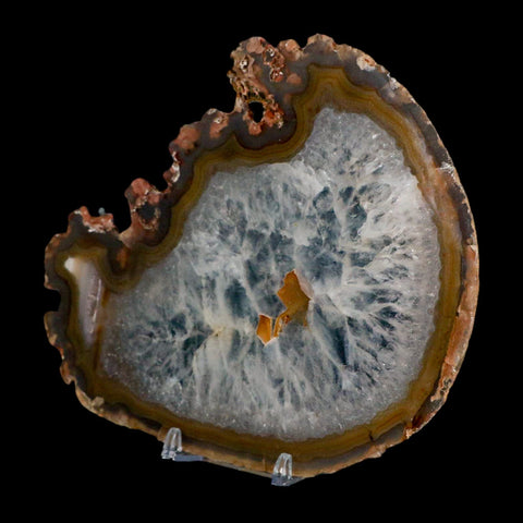 5.9" Polished Cut Agate Geode Crystal Quarts Chalcedony Mineral Specimen Stand - Fossil Age Minerals
