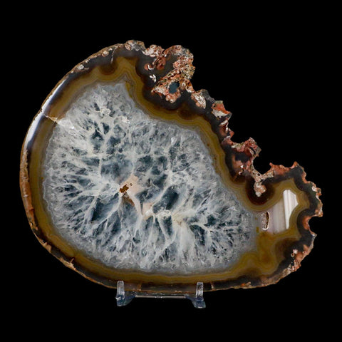 5.9" Polished Cut Agate Geode Crystal Quarts Chalcedony Mineral Specimen Stand - Fossil Age Minerals