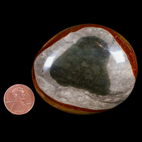 2.5" Polychrome Jasper Natural Polished Mineral Palm Stone Madagascar - Fossil Age Minerals