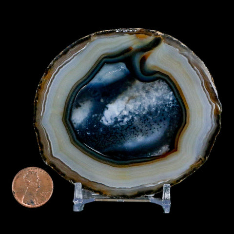 3.3" Polished Cut Agate Geode Crystal Quarts Chalcedony Mineral Specimen Stand - Fossil Age Minerals