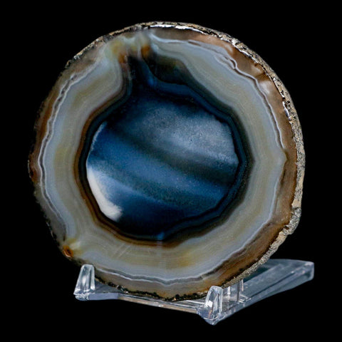 3.3" Polished Cut Agate Geode Crystal Quarts Chalcedony Mineral Specimen Stand - Fossil Age Minerals