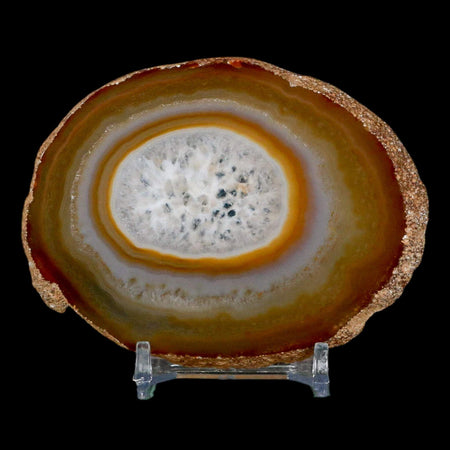 3.6" Polished Cut Agate Geode Crystal Quarts Chalcedony Mineral Specimen Stand