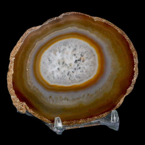 3.6" Polished Cut Agate Geode Crystal Quarts Chalcedony Mineral Specimen Stand - Fossil Age Minerals