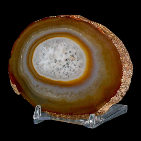 3.6" Polished Cut Agate Geode Crystal Quarts Chalcedony Mineral Specimen Stand - Fossil Age Minerals
