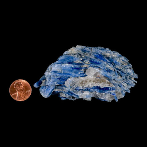 3.4" Rough Natural Sky Blue Kyanite And Quartz Crystal Mineral Specimen Brazil - Fossil Age Minerals