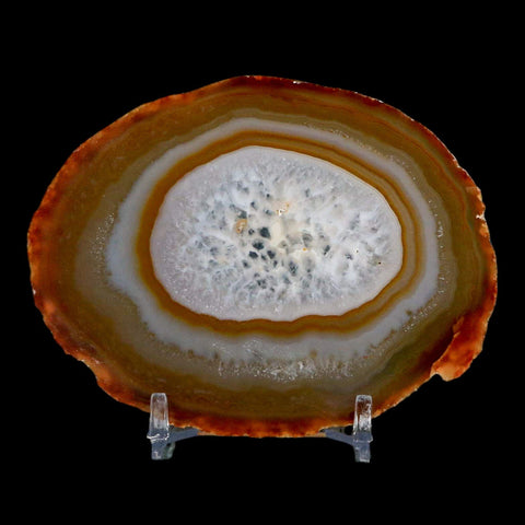 3.6" Polished Cut Agate Geode Crystal Quarts Chalcedony Mineral Specimen Stand - Fossil Age Minerals