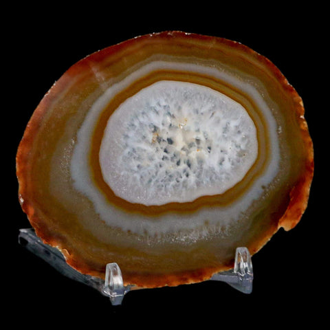 3.6" Polished Cut Agate Geode Crystal Quarts Chalcedony Mineral Specimen Stand - Fossil Age Minerals