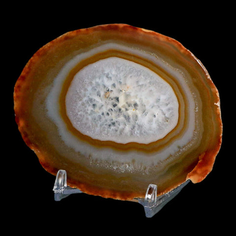 3.6" Polished Cut Agate Geode Crystal Quarts Chalcedony Mineral Specimen Stand - Fossil Age Minerals