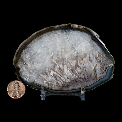 4" Polished Cut Agate Geode Crystal Quarts Chalcedony Mineral Specimen Stand - Fossil Age Minerals