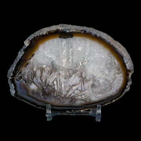 4" Polished Cut Agate Geode Crystal Quarts Chalcedony Mineral Specimen Stand - Fossil Age Minerals