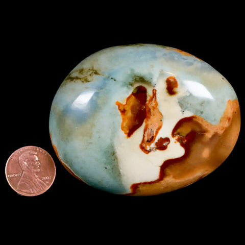 2.8" Polychrome Jasper Natural Polished Mineral Palm Stone Madagascar - Fossil Age Minerals
