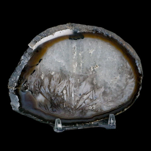 4" Polished Cut Agate Geode Crystal Quarts Chalcedony Mineral Specimen Stand - Fossil Age Minerals