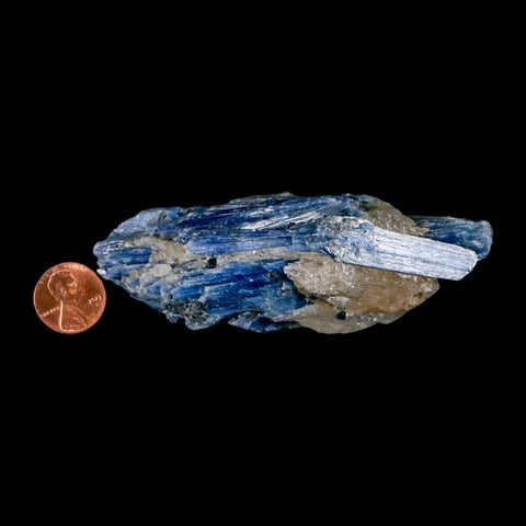 4" Rough Natural Sky Blue Kyanite And Quartz Crystal Mineral Specimen Brazil - Fossil Age Minerals