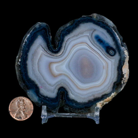 3.4" Polished Cut Agate Geode Crystal Quarts Chalcedony Mineral Specimen Stand - Fossil Age Minerals