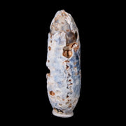 1.9" Fossil Pine Cone Equicalastrobus Replaced By Agate Eocene Age Seeds Fruit