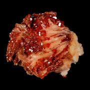 2" Sparkly Red Vanadinite Crystals On White Barite Blades Mineral Mabladen Morocco