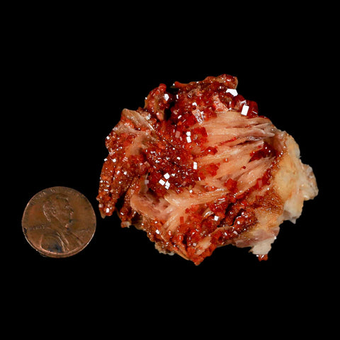 2" Sparkly Red Vanadinite Crystals On White Barite Blades Mineral Mabladen Morocco - Fossil Age Minerals