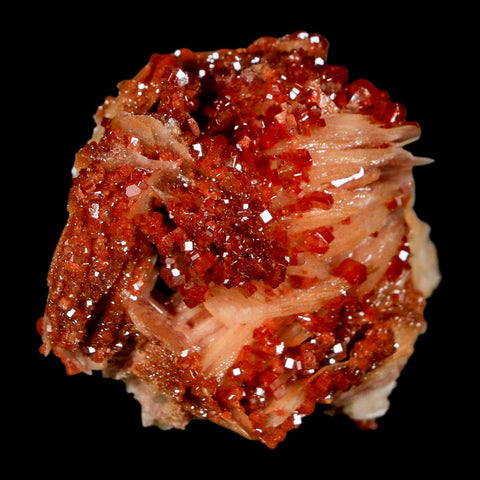 2" Sparkly Red Vanadinite Crystals On White Barite Blades Mineral Mabladen Morocco - Fossil Age Minerals