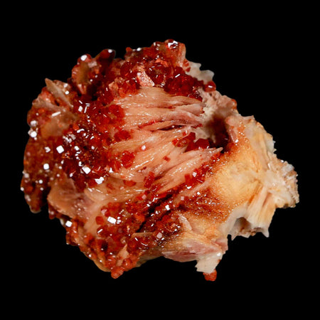 2" Sparkly Red Vanadinite Crystals On White Barite Blades Mineral Mabladen Morocco
