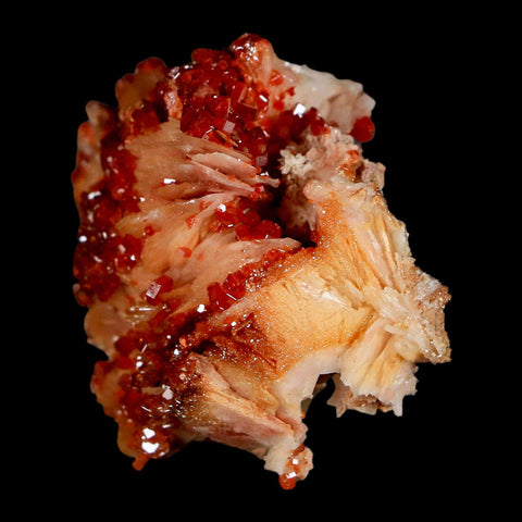 2" Sparkly Red Vanadinite Crystals On White Barite Blades Mineral Mabladen Morocco - Fossil Age Minerals
