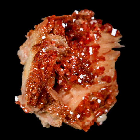 2" Sparkly Red Vanadinite Crystals On White Barite Blades Mineral Mabladen Morocco - Fossil Age Minerals
