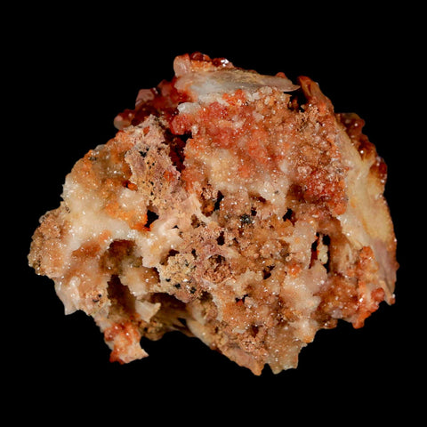 2" Sparkly Red Vanadinite Crystals On White Barite Blades Mineral Mabladen Morocco - Fossil Age Minerals