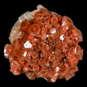 2.1" Aragonite Mineral Two Tone Crystal Cluster Specimen Tazouta Morocco