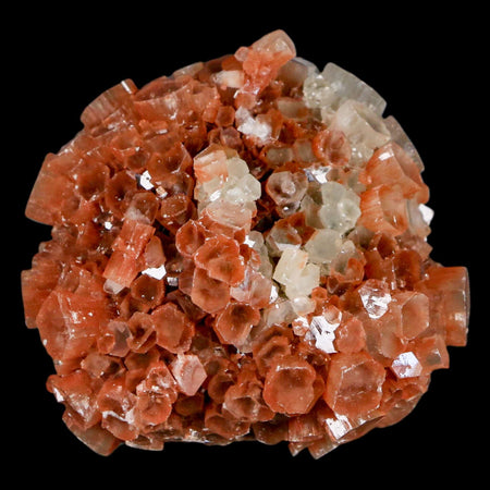 2.1" Aragonite Mineral Two Tone Crystal Cluster Specimen Tazouta Morocco
