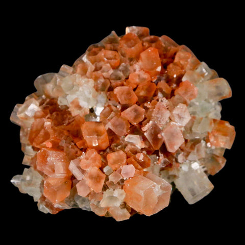 2.3" Aragonite Mineral Two Tone Crystal Cluster Specimen Tazouta Morocco - Fossil Age Minerals
