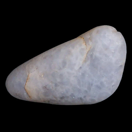 Gastrolites - Gastrolith Stomach Stones For Sale - Fossil Age Minerals