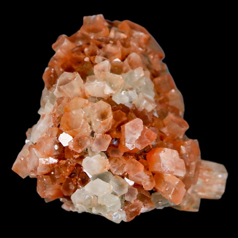 2.3" Aragonite Mineral Two Tone Crystal Cluster Specimen Tazouta Morocco - Fossil Age Minerals