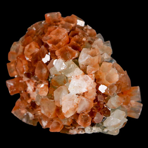 2.3" Aragonite Mineral Two Tone Crystal Cluster Specimen Tazouta Morocco - Fossil Age Minerals