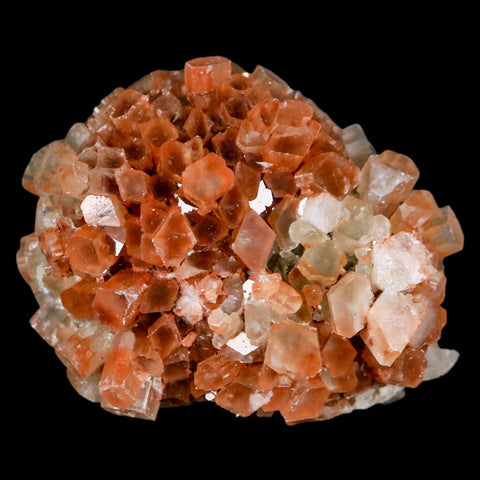 2.3" Aragonite Mineral Two Tone Crystal Cluster Specimen Tazouta Morocco - Fossil Age Minerals