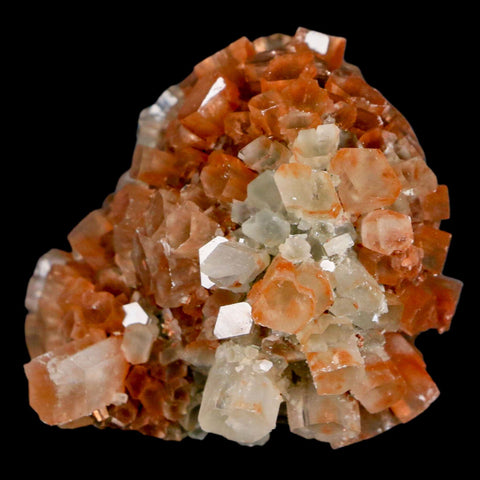 2.3" Aragonite Mineral Two Tone Crystal Cluster Specimen Tazouta Morocco - Fossil Age Minerals