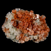 2.3" Aragonite Mineral Two Tone Crystal Cluster Specimen Tazouta Morocco