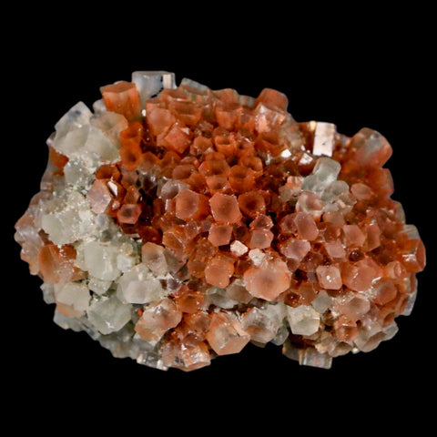 2.3" Aragonite Mineral Two Tone Crystal Cluster Specimen Tazouta Morocco - Fossil Age Minerals