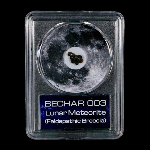 Moon Rock Lunar Meteorite Bechar 003 Algerian Sahara Desert Discovered 2022 COA
