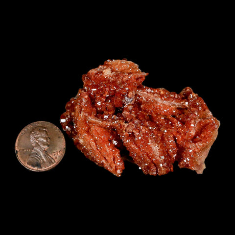 2.2" Sparkly Red Vanadinite Crystals on White Barite Blades Mineral Mabladen Morocco - Fossil Age Minerals