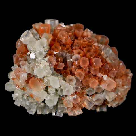 2.3" Aragonite Mineral Two Tone Crystal Cluster Specimen Tazouta Morocco - Fossil Age Minerals