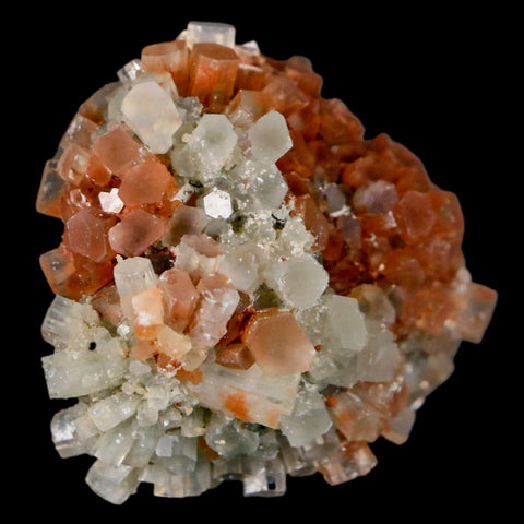 2.3" Aragonite Mineral Two Tone Crystal Cluster Specimen Tazouta Morocco - Fossil Age Minerals