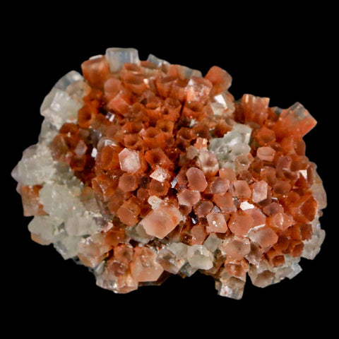 2.3" Aragonite Mineral Two Tone Crystal Cluster Specimen Tazouta Morocco - Fossil Age Minerals