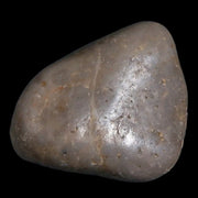 Gastrolites - Gastrolith Stomach Stones For Sale - Fossil Age Minerals