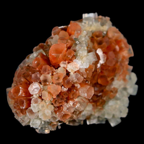 2.3" Aragonite Mineral Two Tone Crystal Cluster Specimen Tazouta Morocco - Fossil Age Minerals