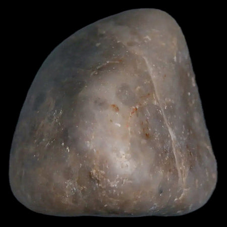 Gastrolites - Gastrolith Stomach Stones For Sale - Fossil Age Minerals