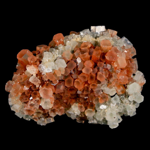 2.3" Aragonite Mineral Two Tone Crystal Cluster Specimen Tazouta Morocco - Fossil Age Minerals