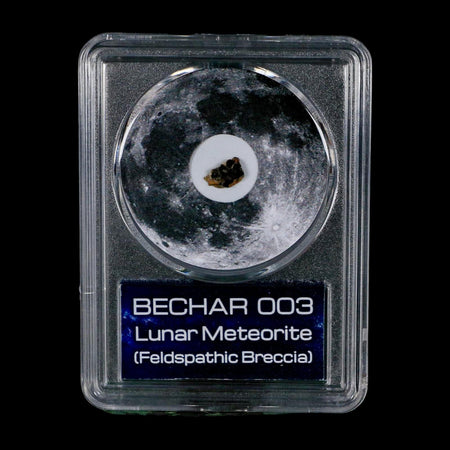 Moon Rock Lunar Meteorite Bechar 003 Algerian Sahara Desert Discovered 2022 COA